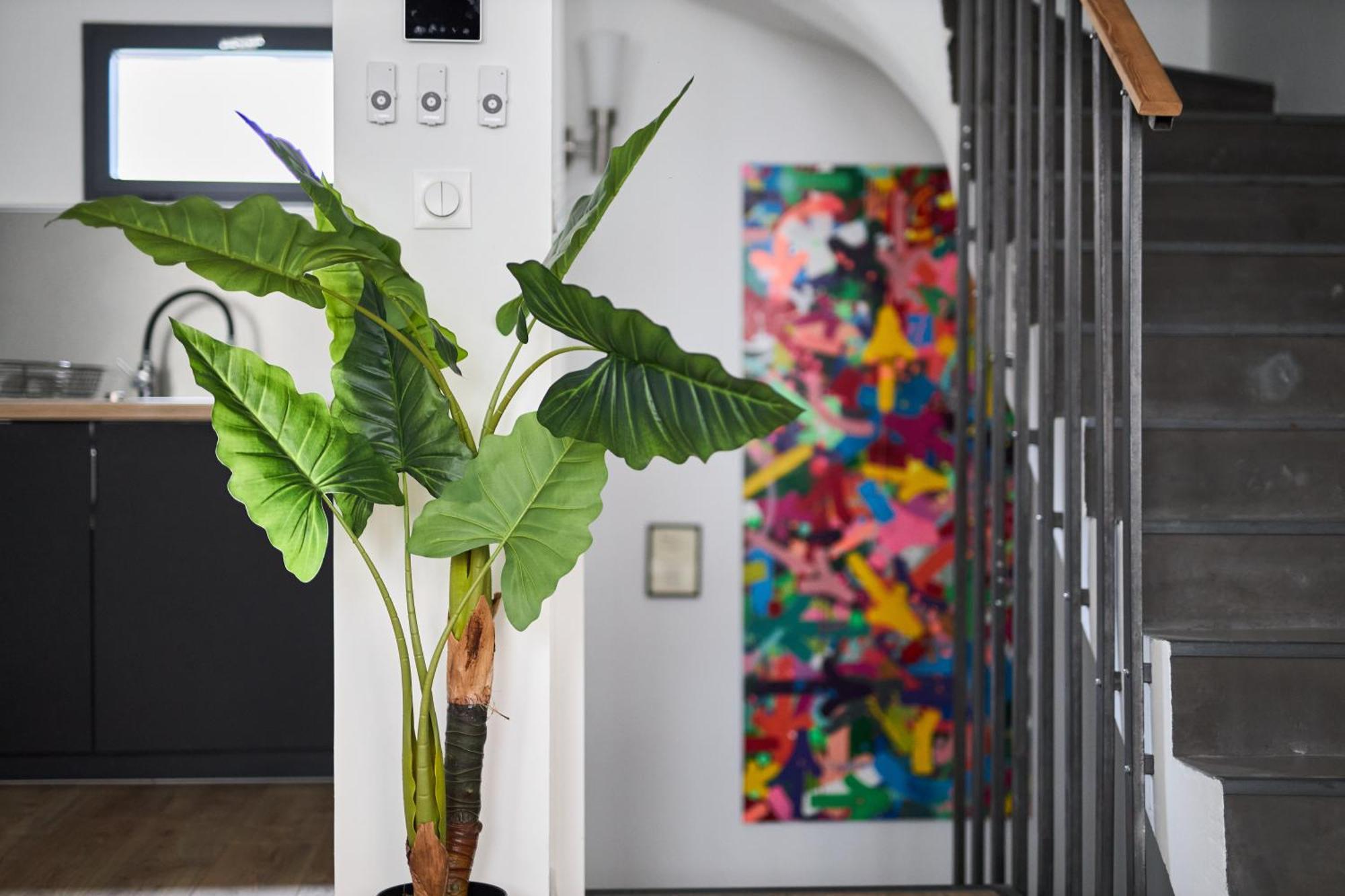 Mm Suites Town House Terrasse Reims Ngoại thất bức ảnh
